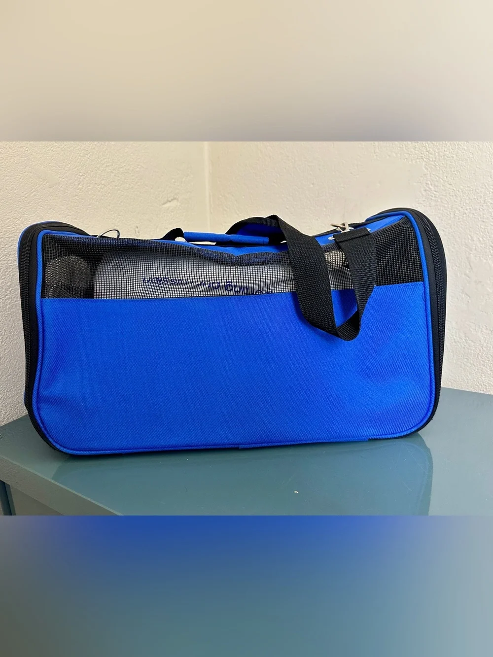 Southwest Official Pet Carrier Mesh Sides Carry On Carrier Bag  17x10x10 Ex Cond